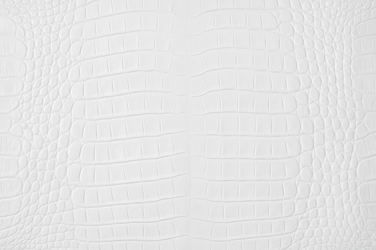 present be a flat background foe white aligator